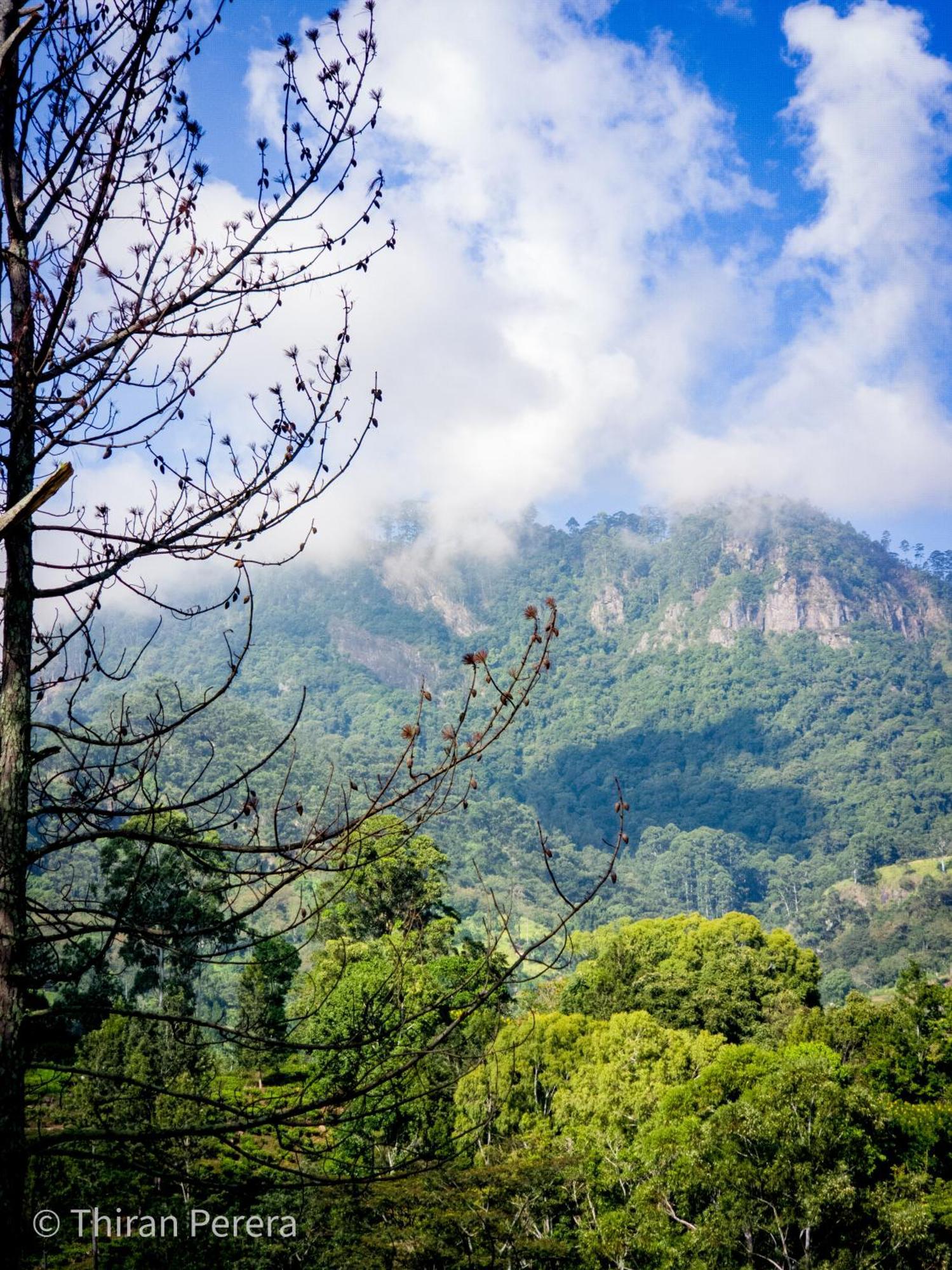 Uva Escape Holiday Bungalow Hotel Bandarawela Exterior foto